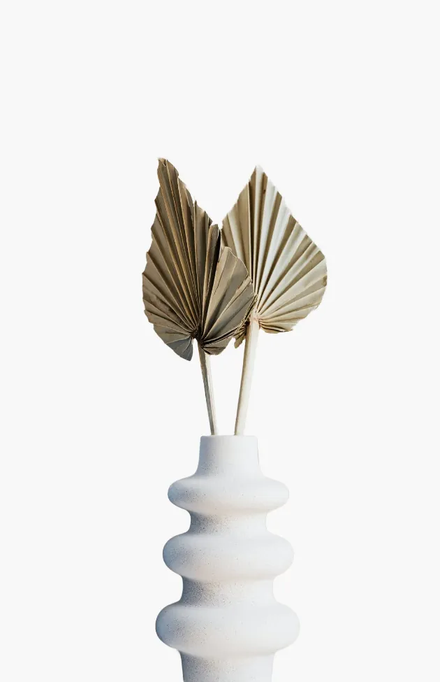 product category 5 1